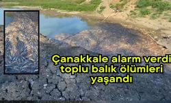 Çanakkale alarm verdi toplu balık ölümleri yaşandı (Video)