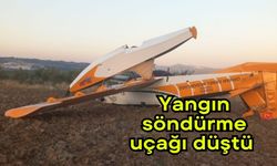 Yangın söndürme uçağı düştü (Vİdeo)