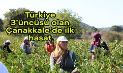 Türkiye 3’üncüsü olan Çanakkale’de ilk hasat (Video)