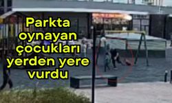 Parkta oynayan çocukları yerden yere vurdu