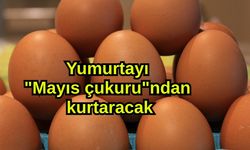 Yumurtayı "Mayıs çukuru"ndan kurtaracak