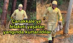 Çanakkale'ye felaketi yaşatan yangında kurtarıldılar (Video)