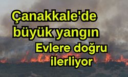 Çanakkale'de büyük yangın, evlere doğru ilerliyor