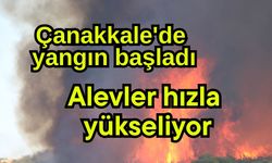 Çanakkale'de yangın başladı, alevler hızla yükseliyor