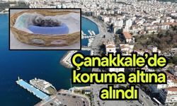 Çanakkale’de koruma altına alındı (Video)