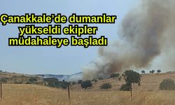 Çanakkale’de dumanlar yükseldi ekipler müdahaleye başladı