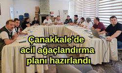 Çanakkale'de acil ağaçlandırma planı hazırlandı