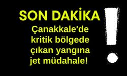 Çanakkale'de kritik bölgede çıkan yangına jet müdahale!