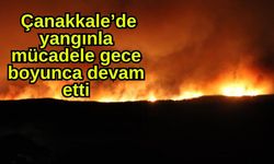 Çanakkale’de yangınla mücadele gece boyunca devam etti (Video)