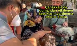 Çanakkale'de dumandan etkilenen tavukların yardımına ekipler koştu (Video)