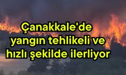 Çanakkale'de yangın tehlikeli ve hızlı şekilde ilerliyor (Video)