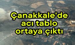 Çanakkale'de acı tablo ortaya çıktı (Video)