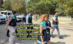 Çanakkale'de sağlık ekipleri destek ve denetim için sahada