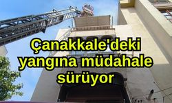 Çanakkale'deki yangına müdahale sürüyor