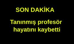 Tanınmış profesör hayatını kaybetti