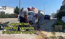 Lapseki'nin dört bir yanında çalışmalar sürüyor