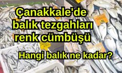 Çanakkale'de balık tezgahları renk cümbüşü