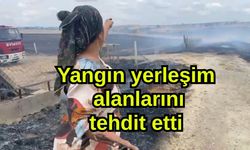 Yangın yerleşim alanlarını tehdit etti (Video)