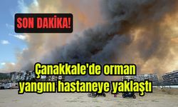 Çanakkale'de orman yangını hastaneye yaklaştı (Video)