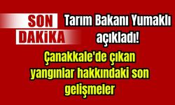 Çanakkale'de çıkan yangınlar hakkındaki son gelişmeleri Bakan açıkladı
