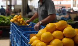 Limonda fiyat düşecek mi?