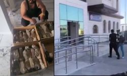 Doğan ve Şahin türü kuşları yakalayıp yasadışı yollarla satan şahıslar yakalandı (Video)