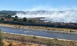 Çanakkale'nin Ayvacık ilçesindeki orman yangını ile ilgili son durum