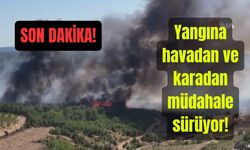 Çanakkale’de alevler yeniden yükseldi, havadan karadan müdahale devam ediyor (Video)