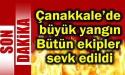 Çanakkale’de büyük yangın, bütün ekipler  sevk edildi