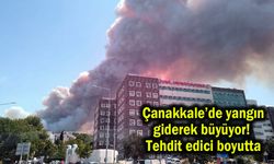 Çanakkale'de yangın giderek büyüyor! Tehdit edici boyutta