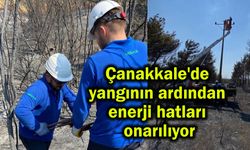 Çanakkale'de yangının ardından enerji hatları onarılıyor