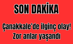Çanakkale’de ilginç olay! Zor anlar yaşandı