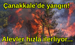 Çanakkale’de yangın ağaçlık alana sıçradı!