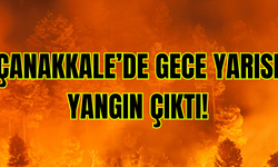 Çanakkale'de gece yarısı yangın çıktı!