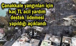 Çanakkale yangınları için acil yardım destek ödemesi