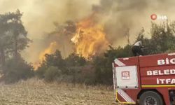 Çanakkale orman yangını ile ilgili son durum (Video)