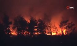 Çanakkale’deki orman yangınına müdahale devam ediyor (Video)