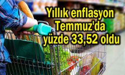 Yıllık enflasyon Temmuz'da yüzde 33,52 oldu