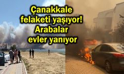 Çanakkale felaketi yaşıyor! Arabalar evler yanıyor
