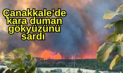 Çanakkale’de kara duman gökyüzünü sardı (Video)