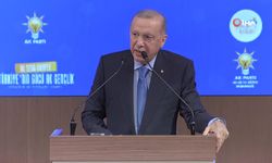 Cumhurbaşkanı Erdoğan: "Yarın da katılımlar olacak partimize''