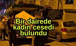 Bir dairede cansız beden bulundu