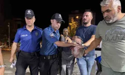 Baba ve 11 yaşındaki oğlunu öldüren zanlı mısır tarlasında yakalandı