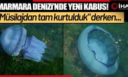 Marmara Denizi'nde yeni kabus (Video)