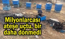 Milyonlarcası ateşe uçtu bir daha dönmedi (Video)