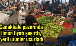Çanakkale pazarında limon fiyatı şaşırttı, yerli ürünler ucuzladı