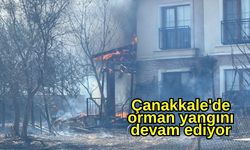 Çanakkale'de orman yangını devam ediyor
