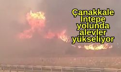 Çanakkale İntepe yolunda alevler yükseliyor