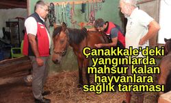 Çanakkale’deki yangınlarda mahsur kalan hayvanlara sağlık taraması