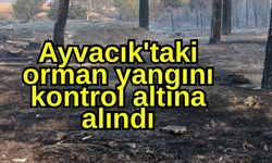 Ayvacık'taki orman yangını kontrol altına alındı